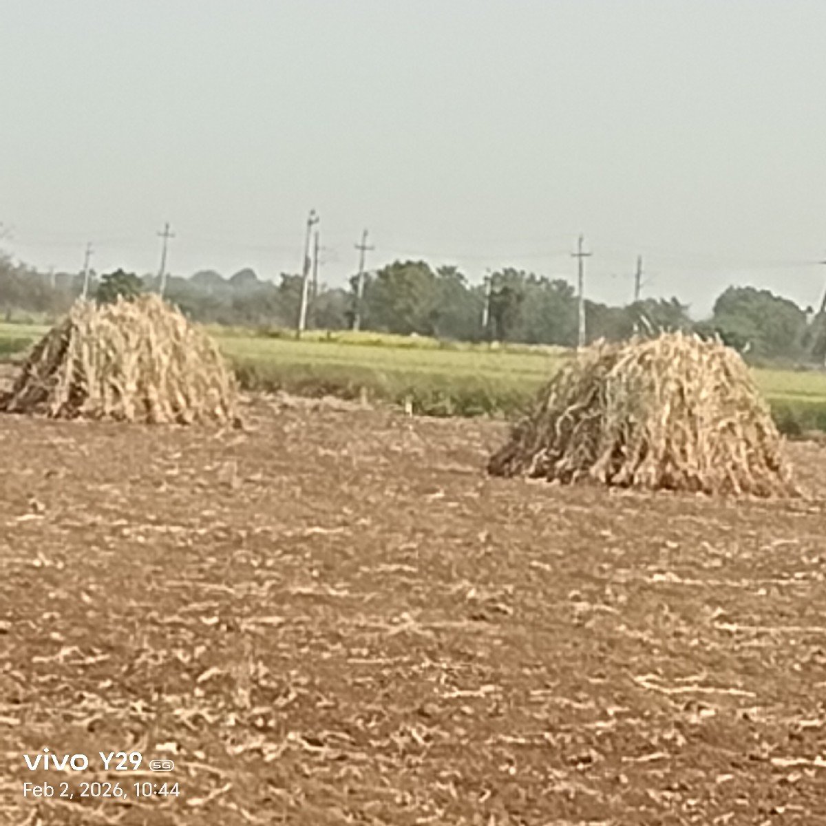 સૂકી નીરણ