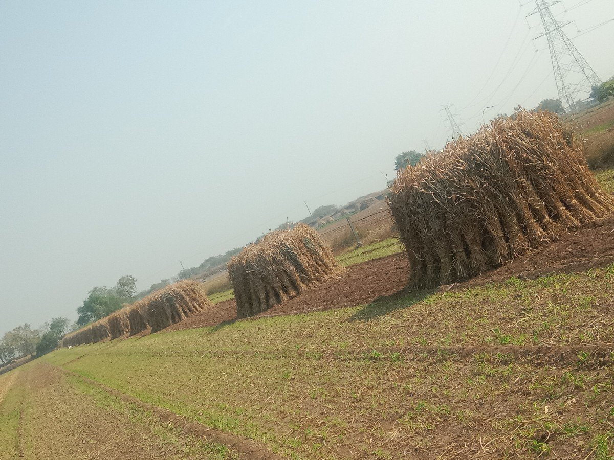 નીરણ વેચવાની છે