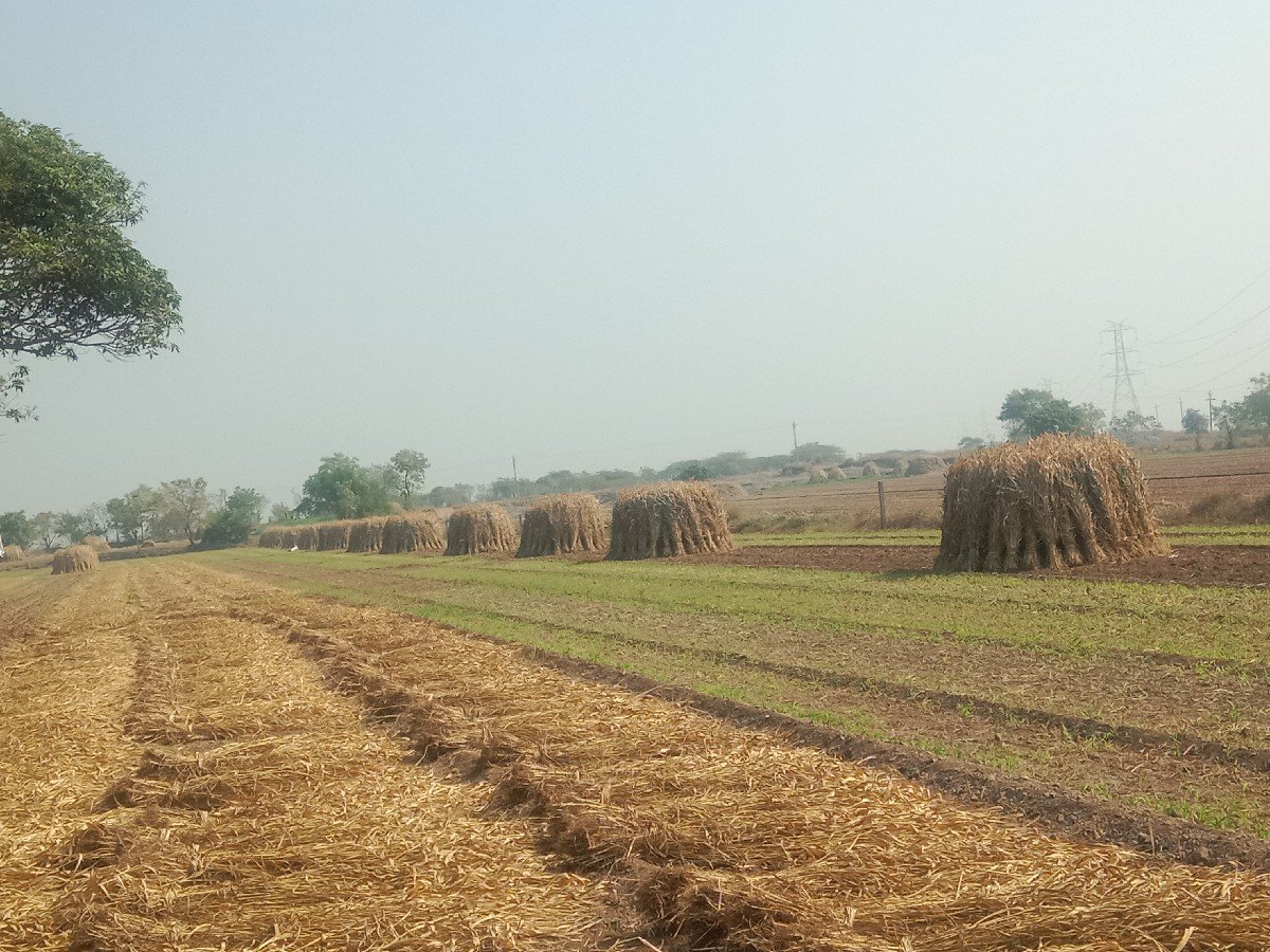 નીરણ વેચવાની છે