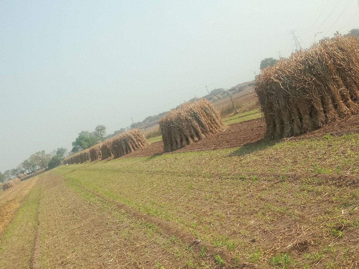 નીરણ વેચવાની છે