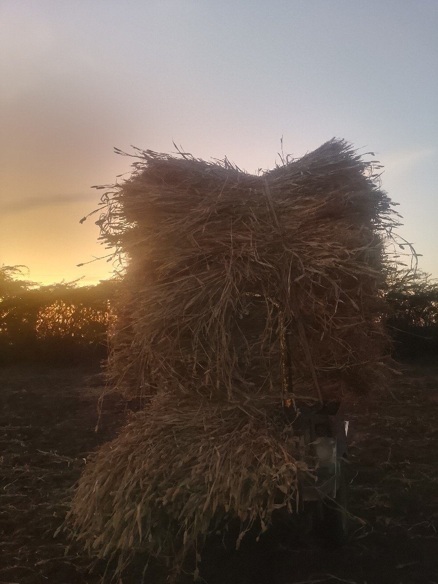 નીરણ વેચવાની છે
