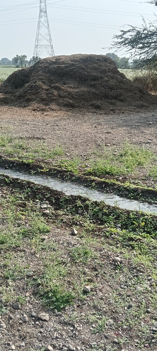 ભૂકો વેચવાનો સે  8 વીઘા નો સે