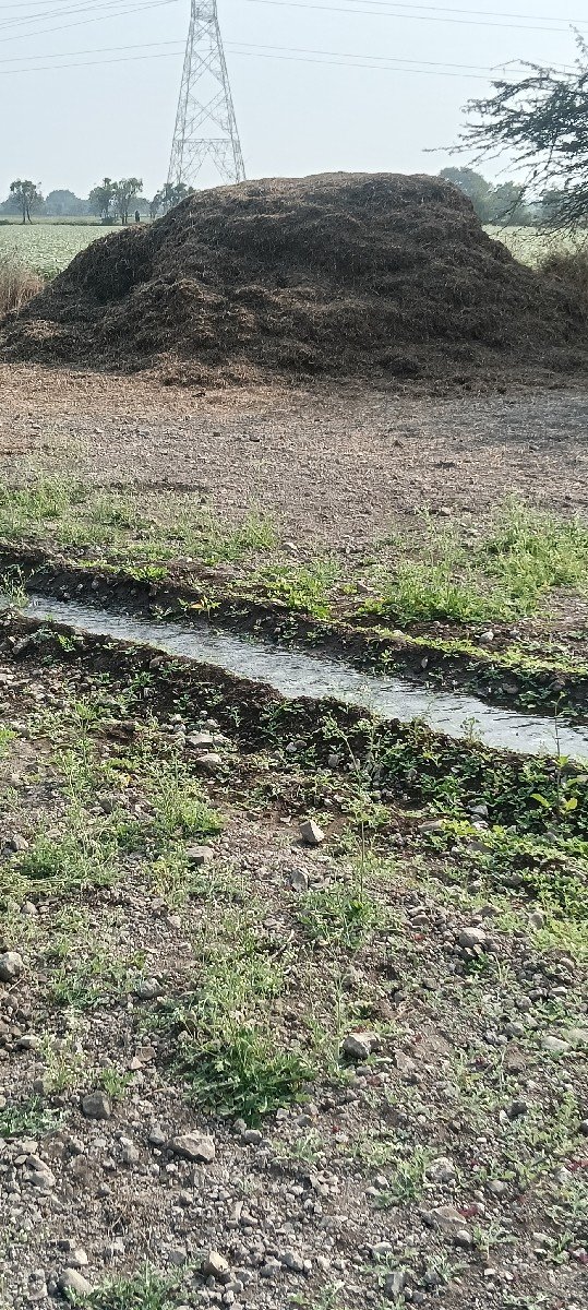 ભૂકો વેચવાનો સે  8 વીઘા નો સે