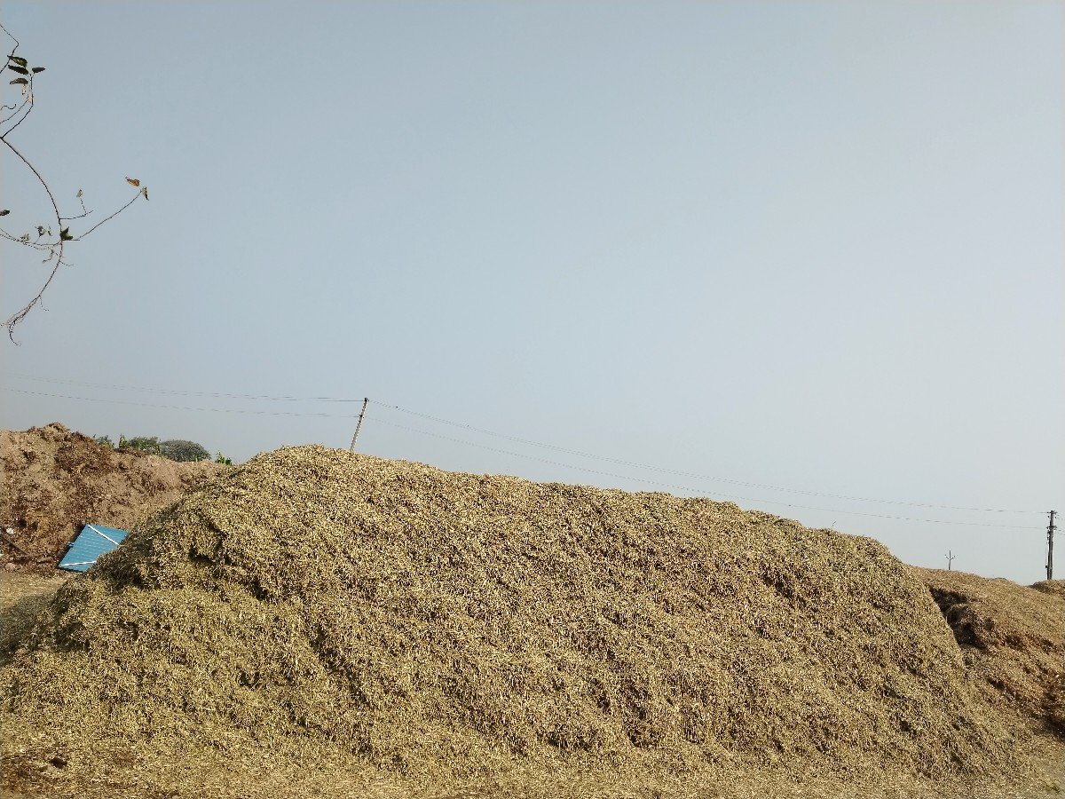. મૉગોટૂ. વૅશવાનુ છે