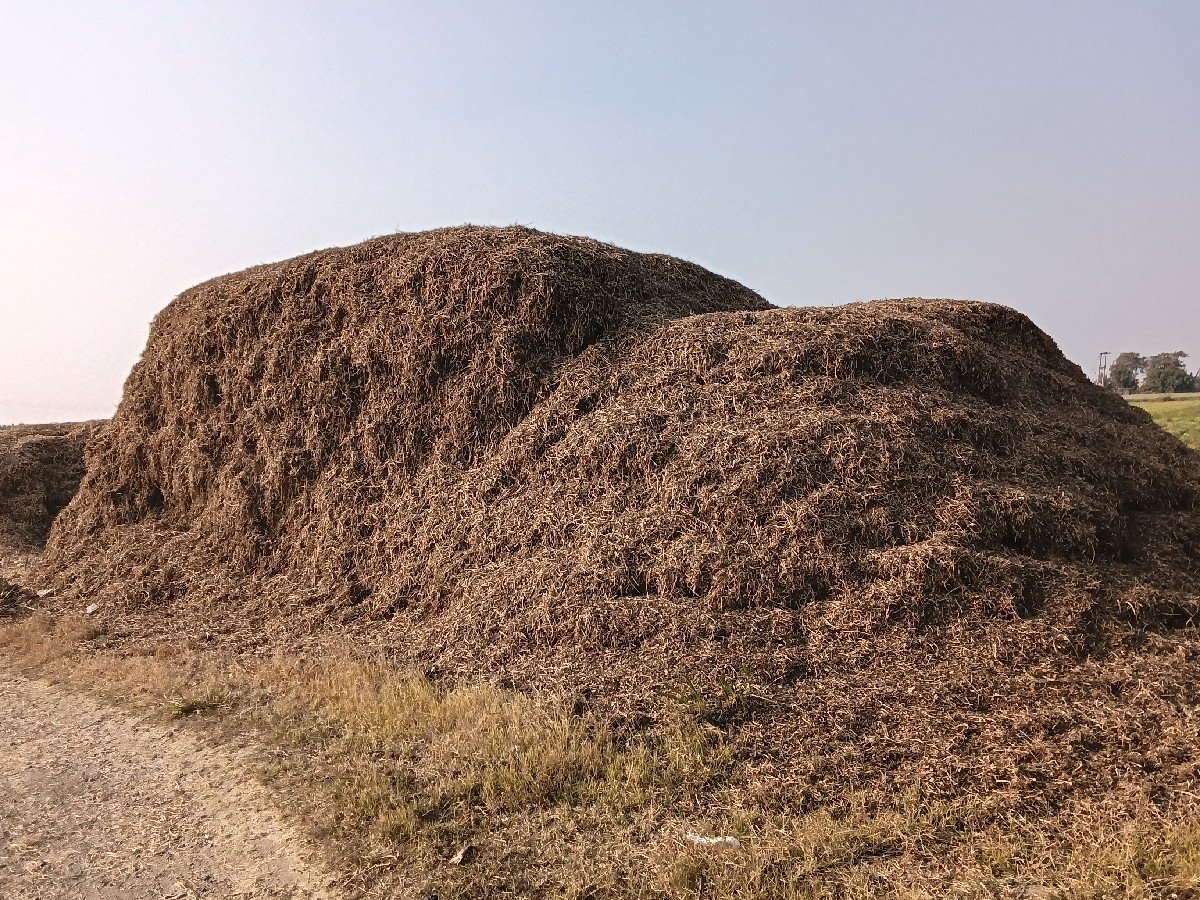 ભુકો વેચવાનો સે