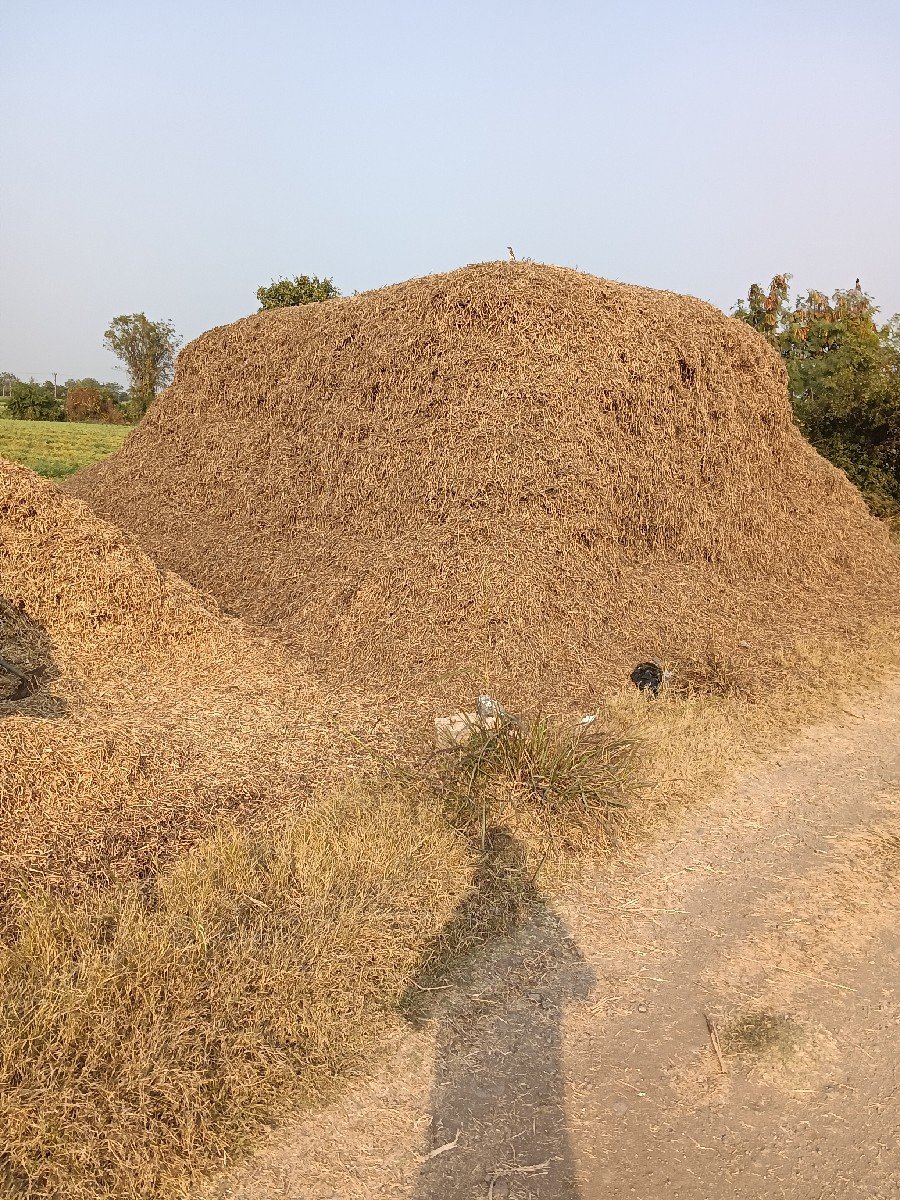 ભુકો વેચવાનો સે