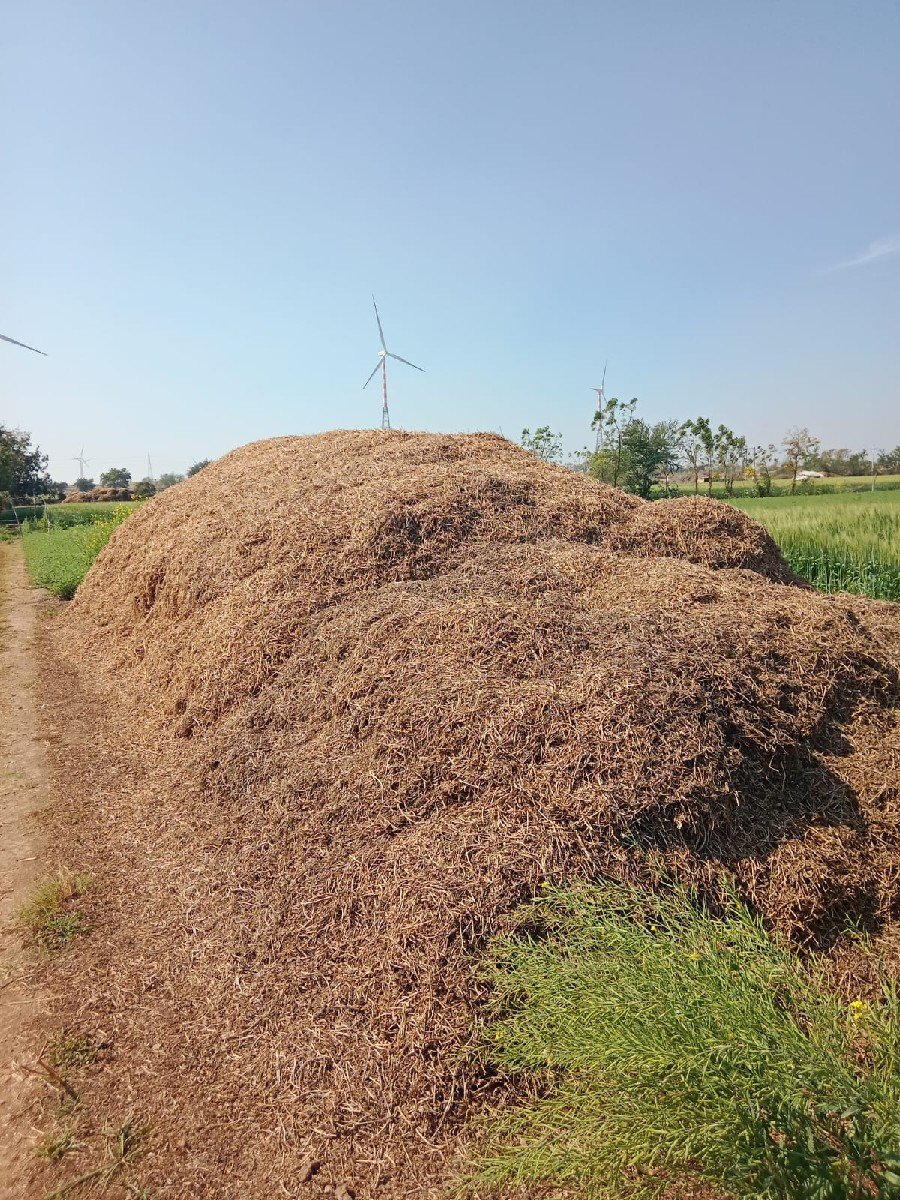 માડવી નો ભુકો વેચવાનો છે
