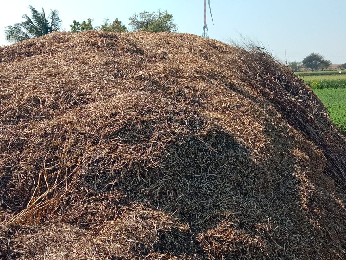 માડવી નો ભુકો વેચવાનો છે