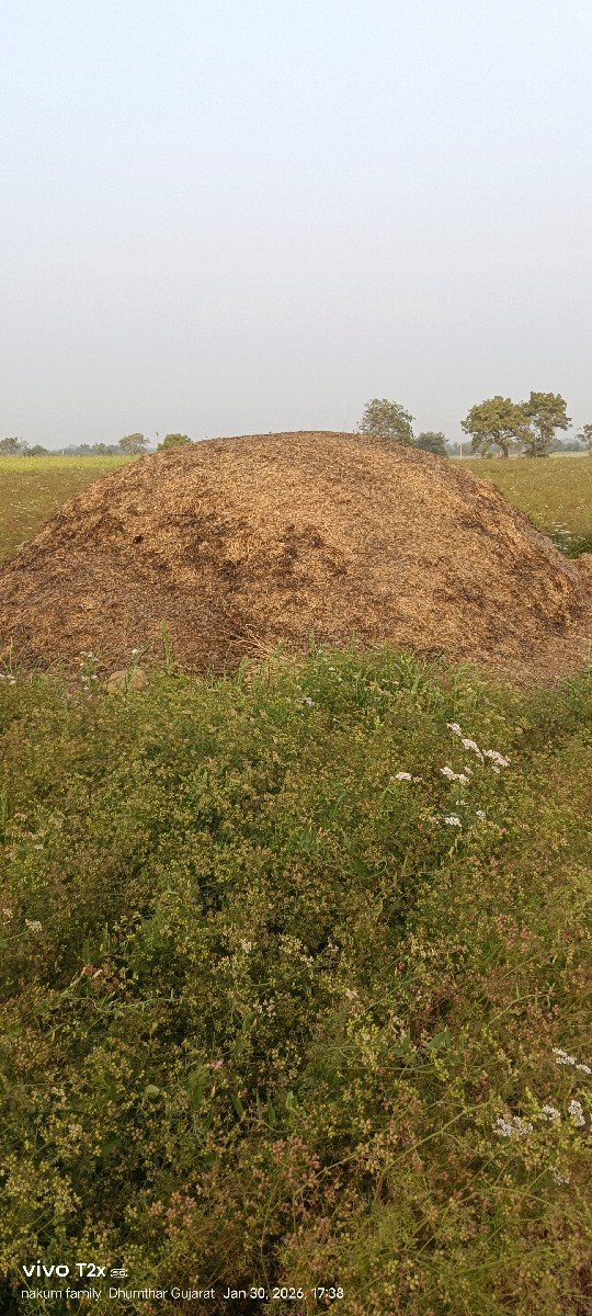 મગફળી નો કોરો ભુકો