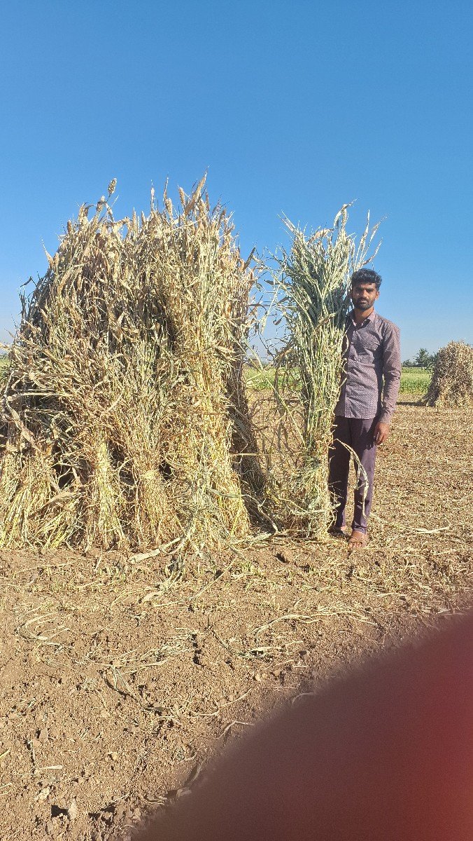 મીથી નિરણ