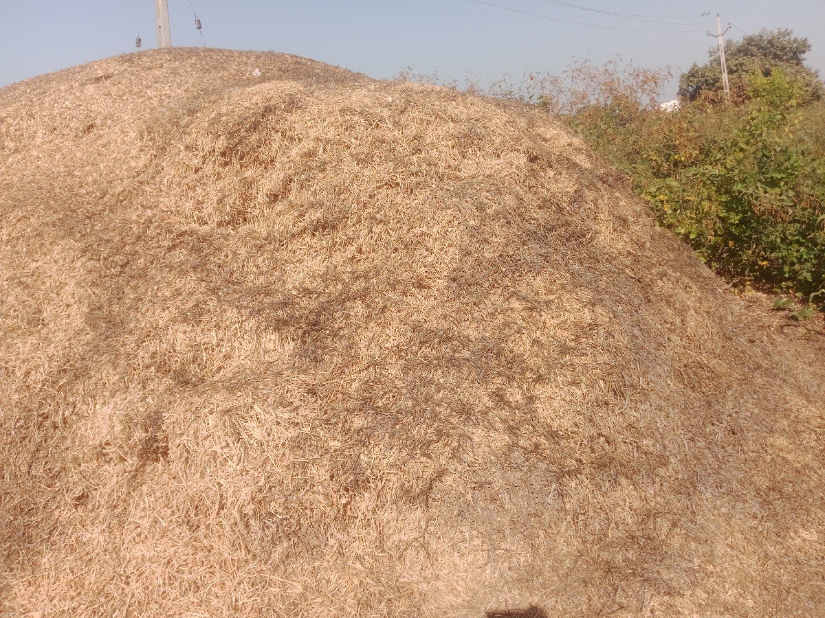 માડવિયુ વેચવા નું છે