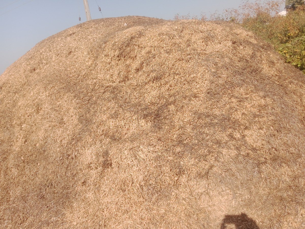 માડવિયુ વેચવા નું છે
