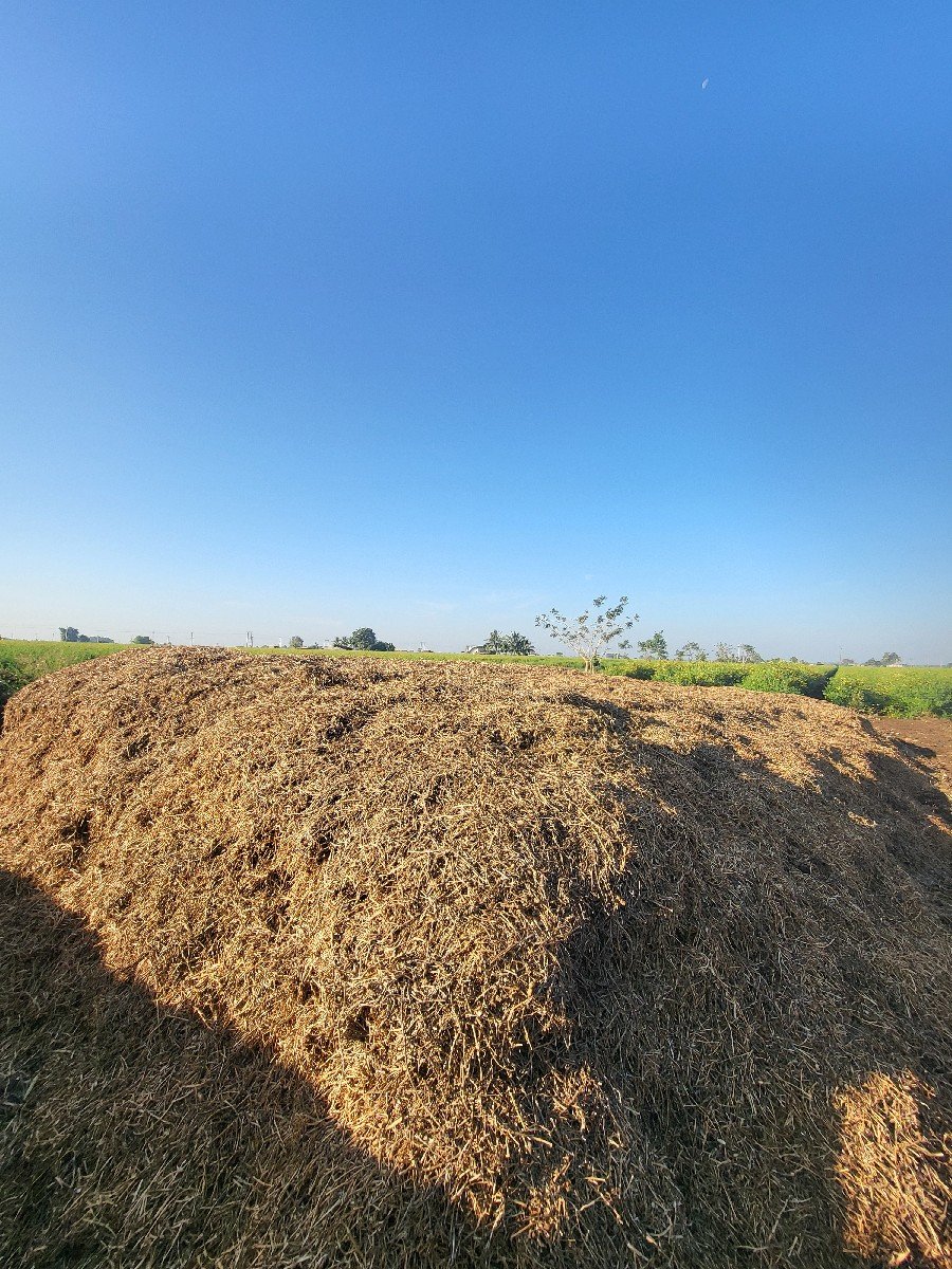 માંડવી નો ભુક્કો વેચવાનો છે.