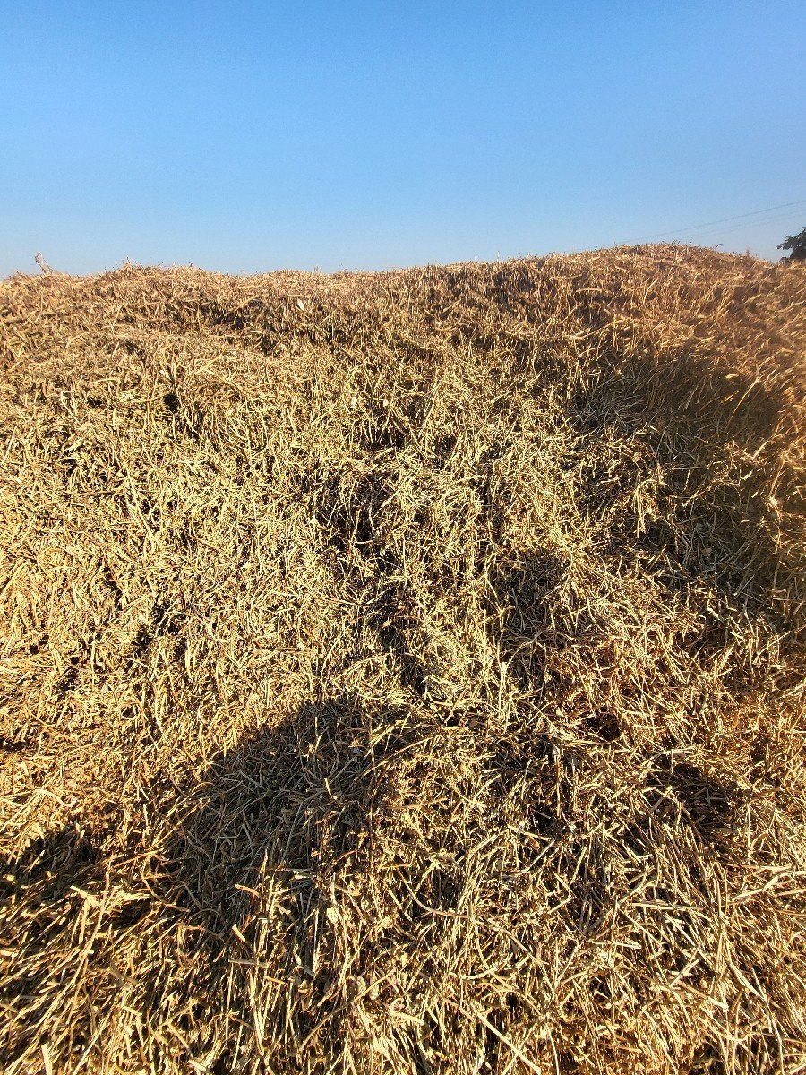 માંડવી નો ભુક્કો વેચવાનો છે.