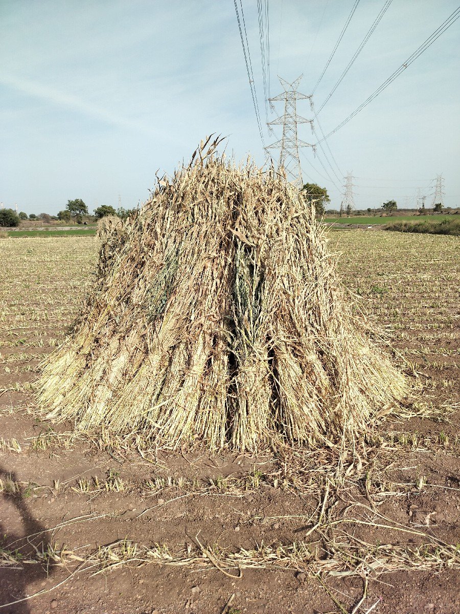 niran vechvani 4.5 vidhani che