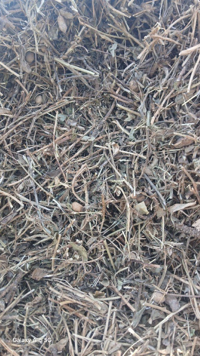 પાલો વેચવાનોછે