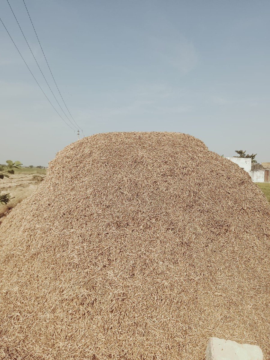 આ ભૂકો વેચવાનો છે કીમત 70000