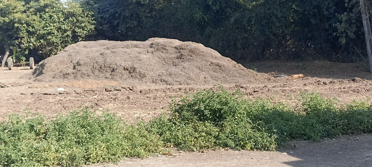 11 vighanu magotu vechvanu che