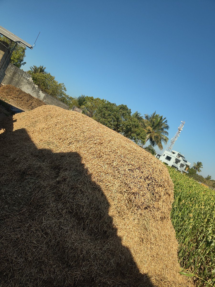 માંડવી નો ભૂકો વેચવાનો છે.