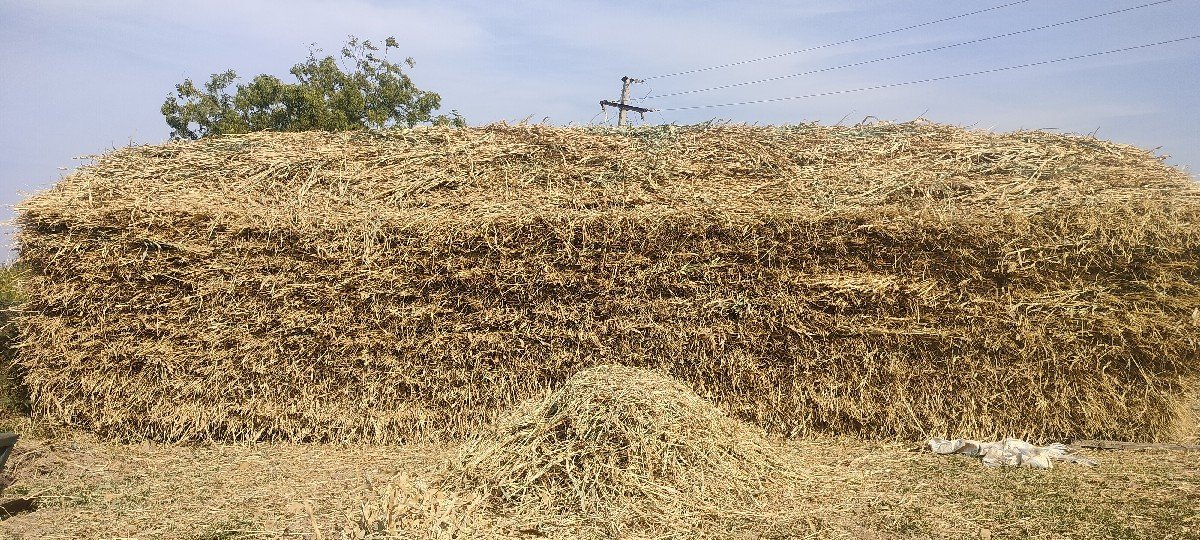 નીણ વેસવાની છે