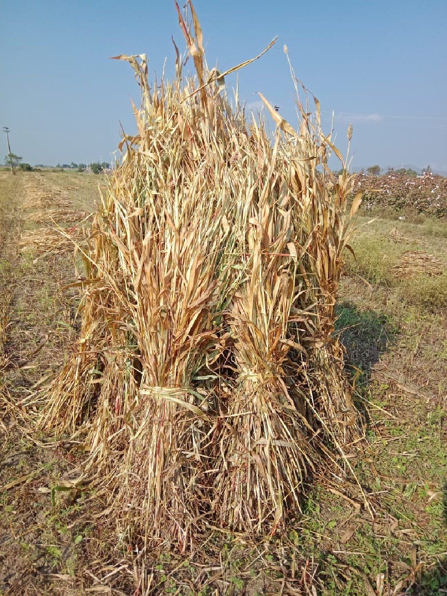 niran vechvani se