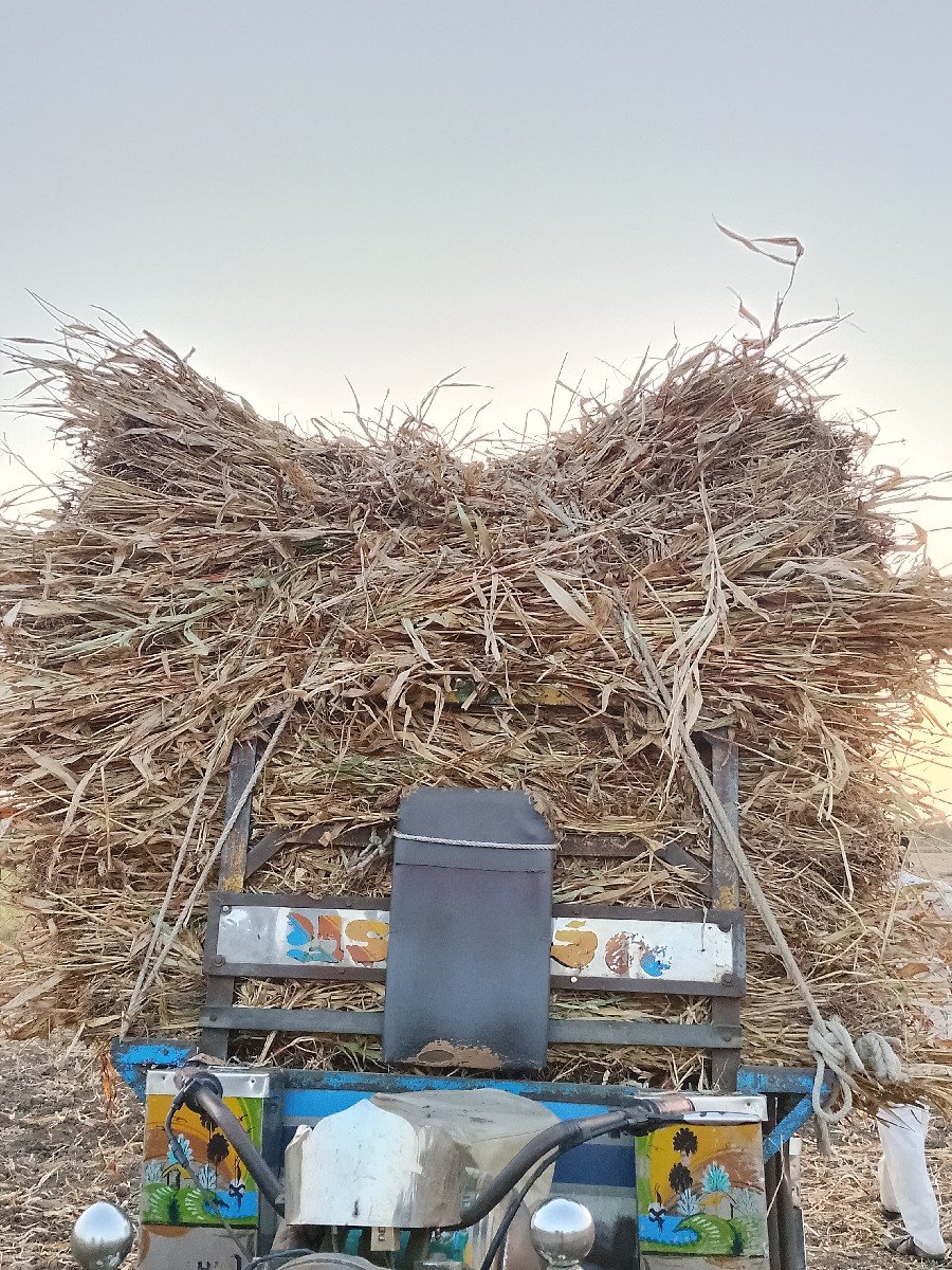 નીરણ વેચવાની છે