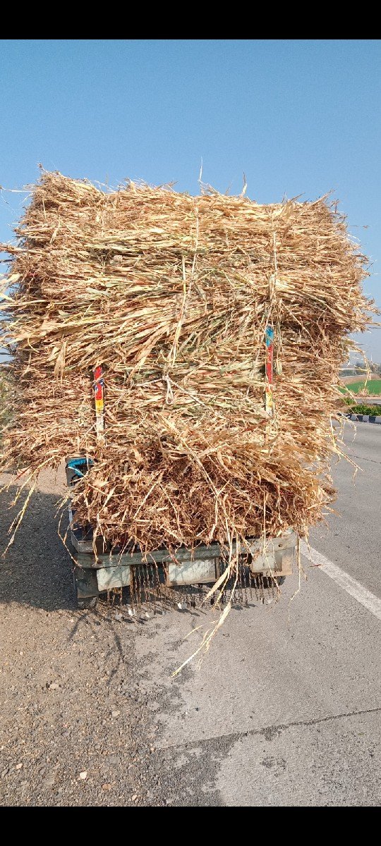 હાલો     હાલો મારા    વાલા નીરણ