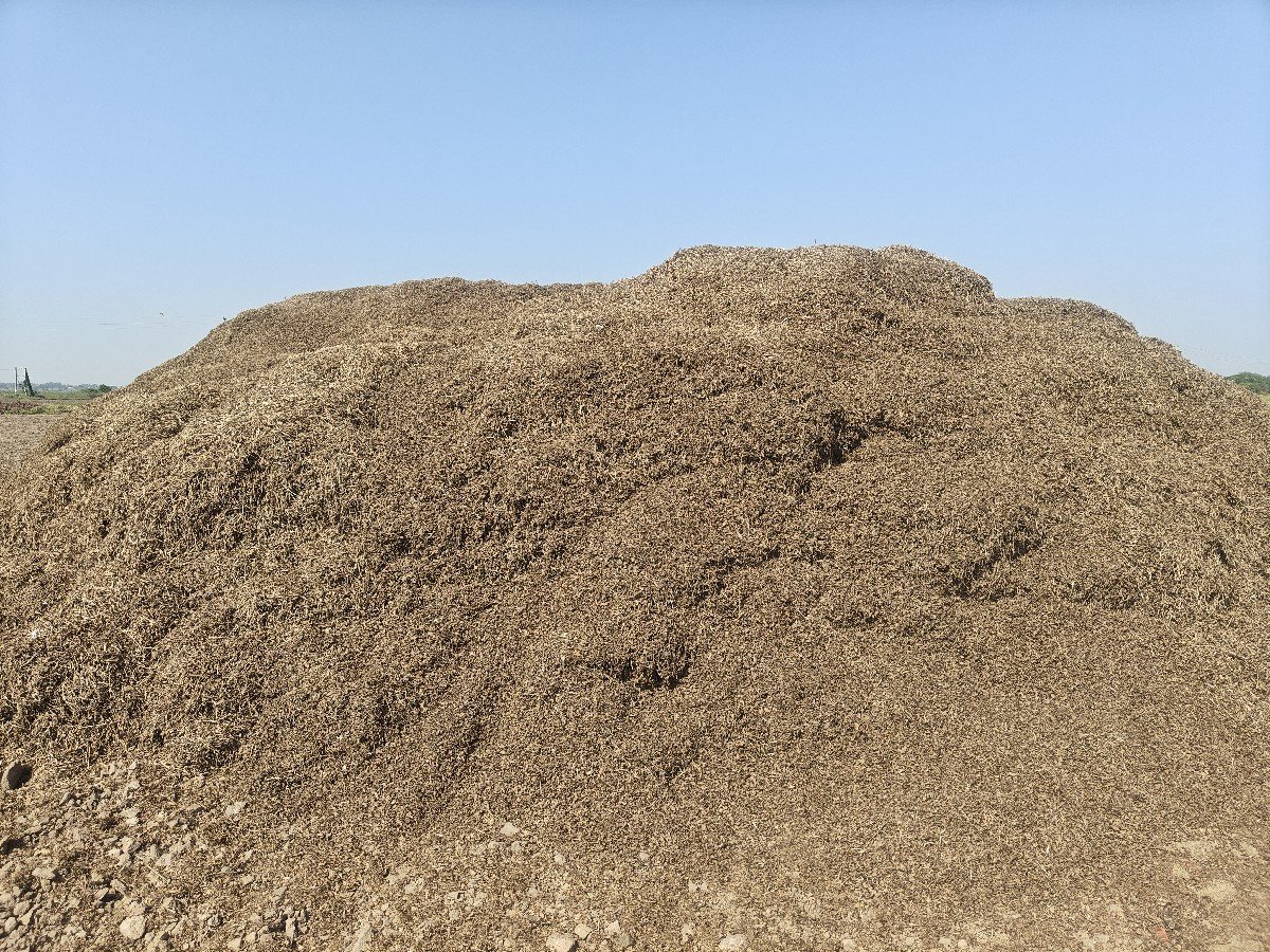 માંડવી નો ભૂકો વેચવાનો છે