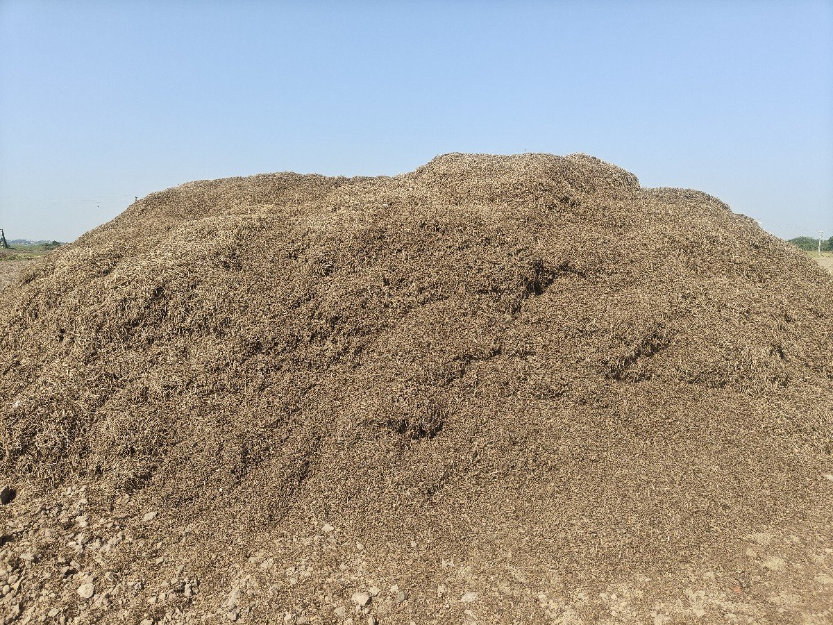 માંડવી નો ભૂકો વેચવાનો છે