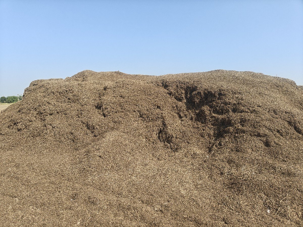 માંડવી નો ભૂકો વેચવાનો છે