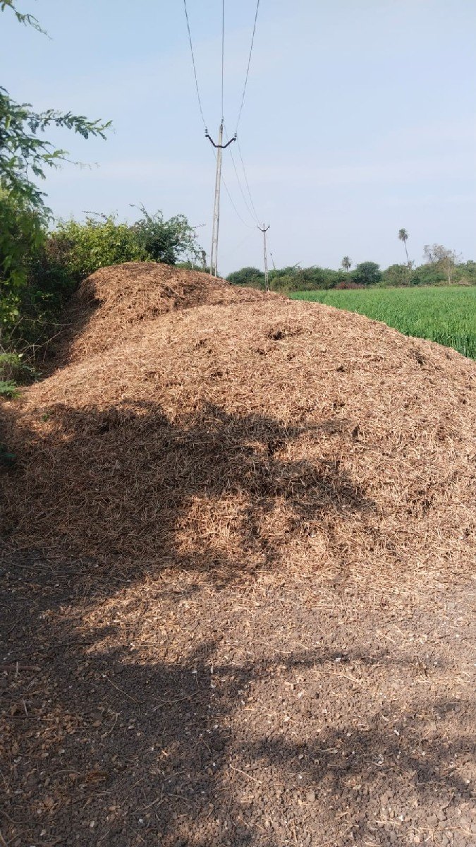 ૧૨૮માડવી નો ભુકો વેચવા નો છે