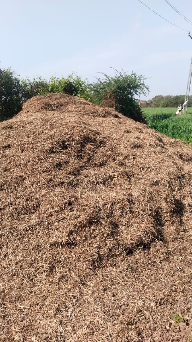 ૧૨૮માડવી નો ભુકો વેચવા નો છે
