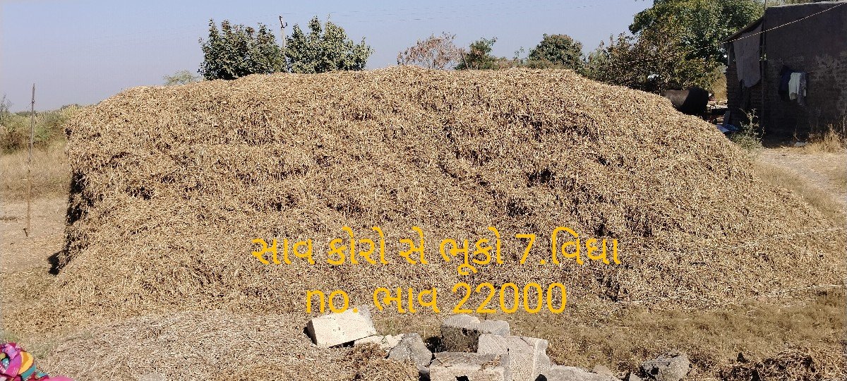 માંડવીનો ભૂકો વેચવાનો સે