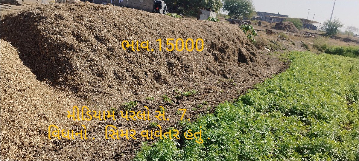માંડવીનો ભૂકો વેચવાનો સે
