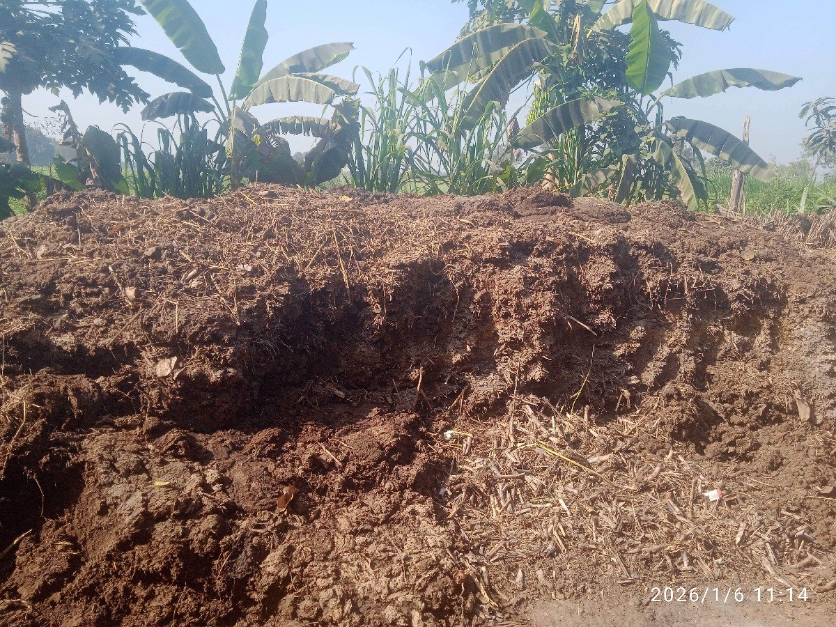 સાણીયુ ખાતર
