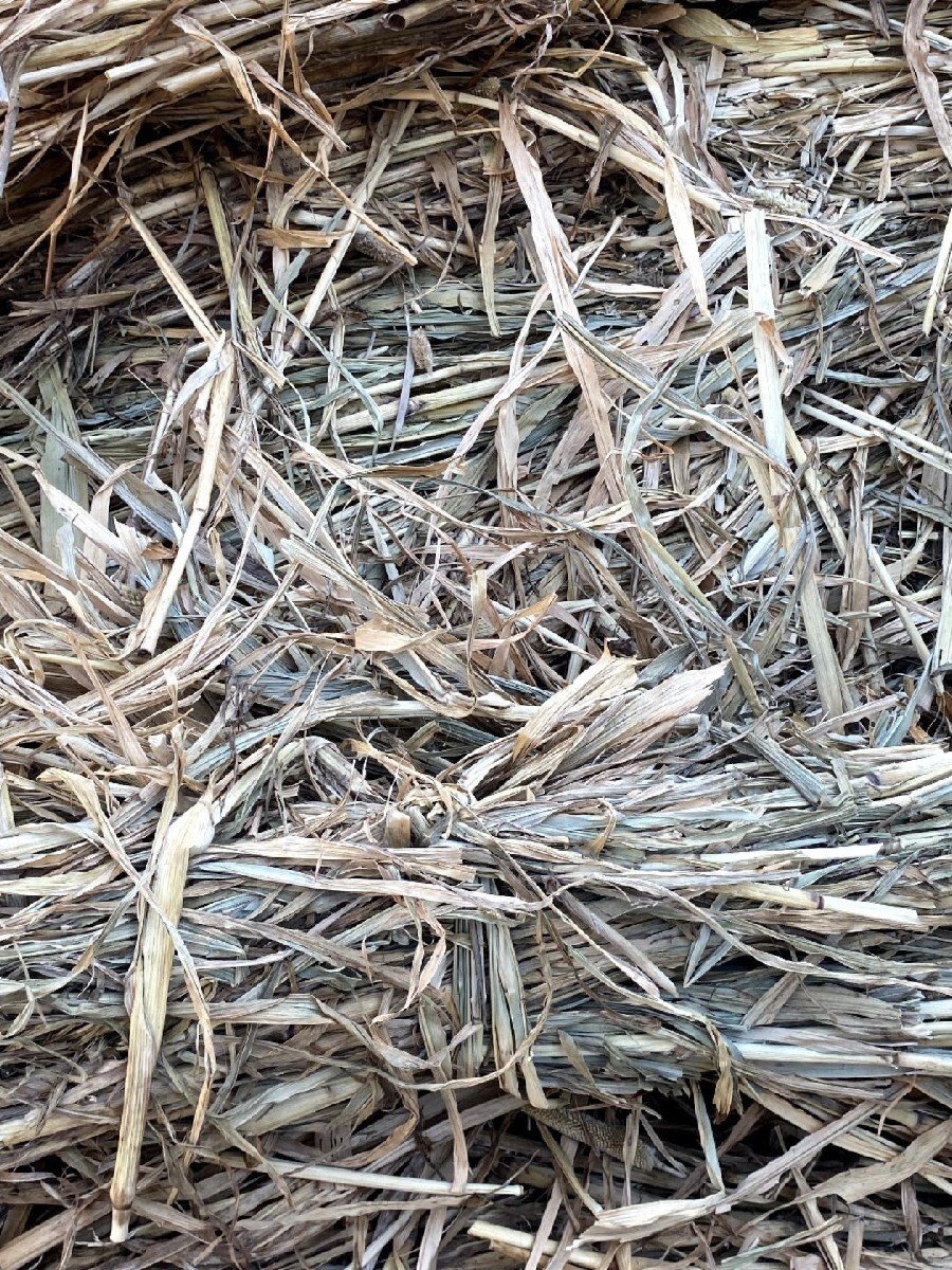 બાજરાની સાર ના પૂરા