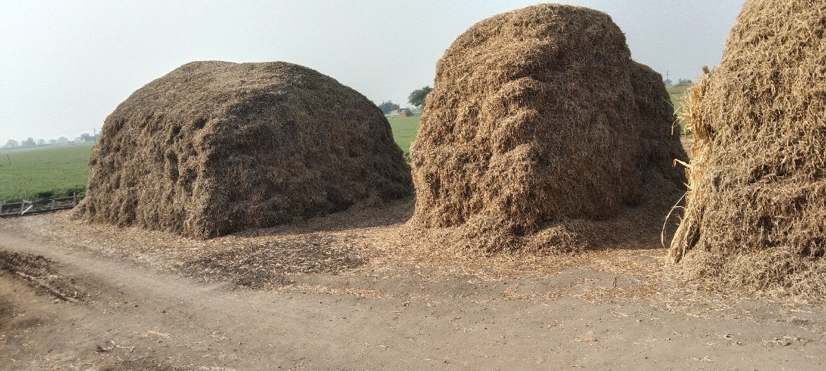 ભુકો વેચવાનો છે