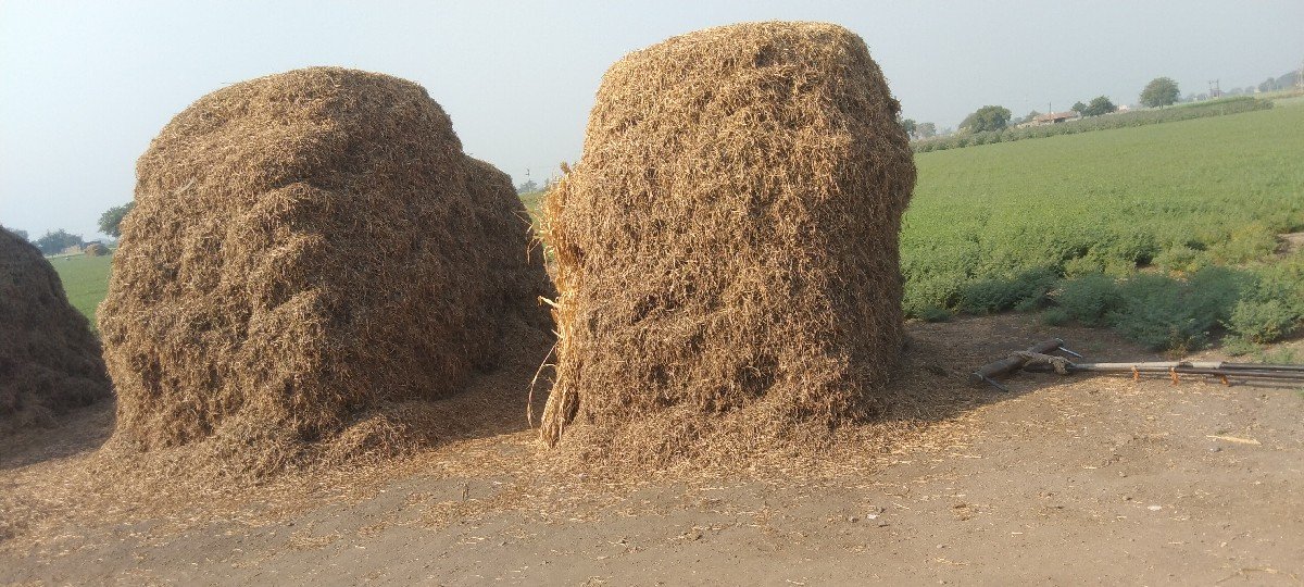 ભુકો વેચવાનો છે