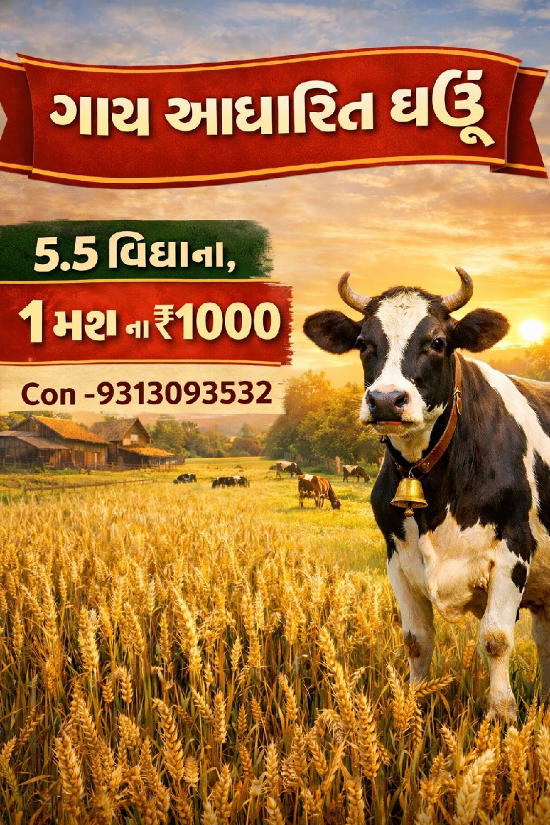ગાય આધારિત ઘઉં વેચવાના છે.