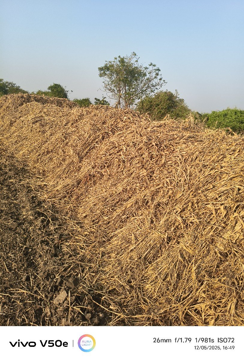 જુવાર નાં પૂરા