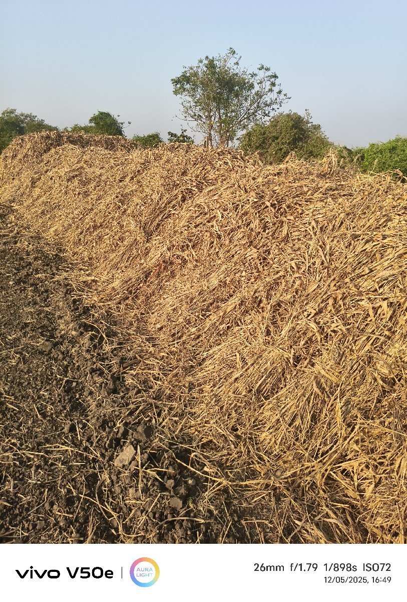 જુવાર નાં પૂરા