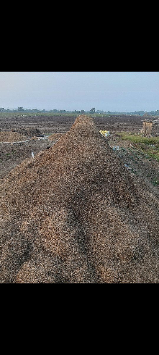 મગફળી નો કોરો પાલો  વેચવાનો છે