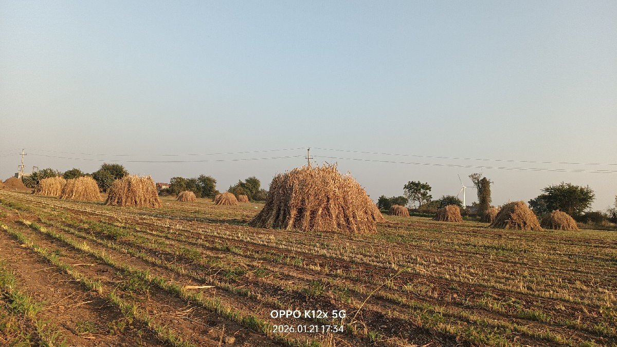 ગુંદરી વેચવાની છે 9 વિધા ની છે