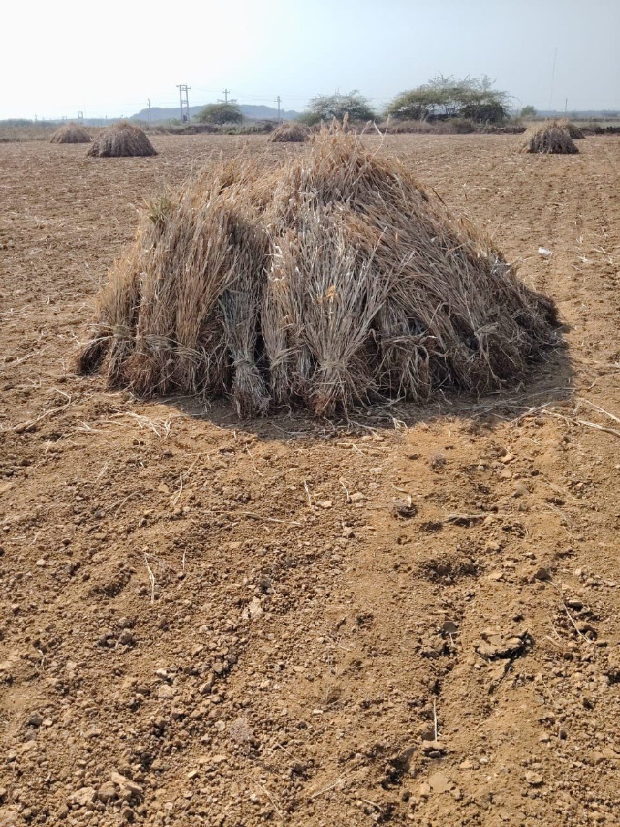 નીરણ વેચવા ની છે