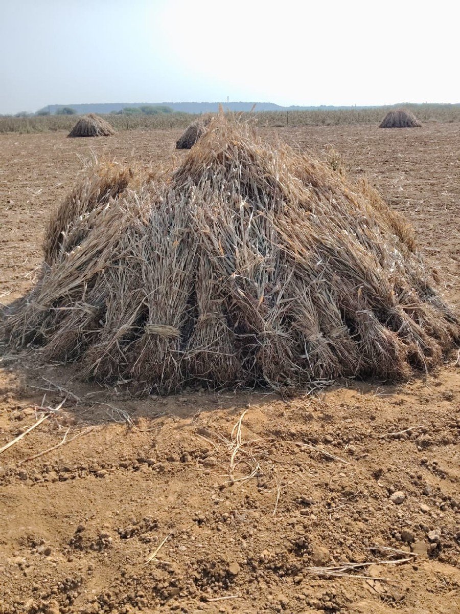 નીરણ વેચવા ની છે
