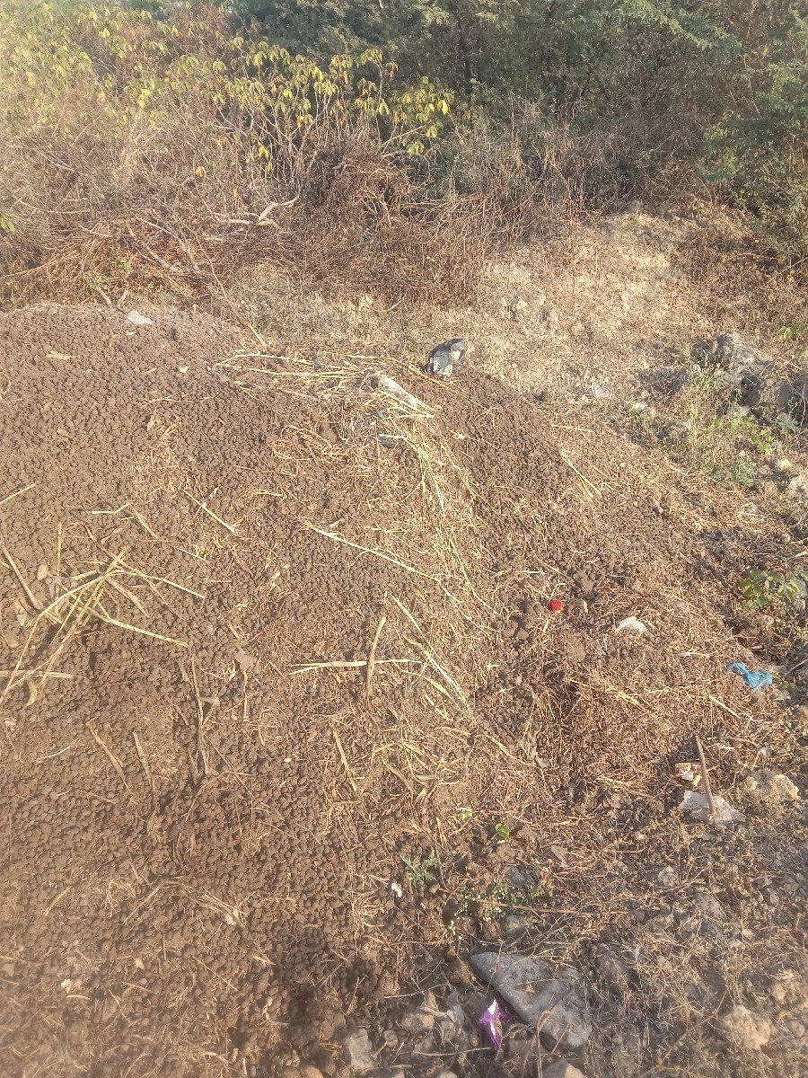 સણયુ ખાતર વેસવાનુ છે