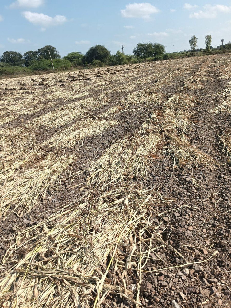 નીરણ વેચવાની છે