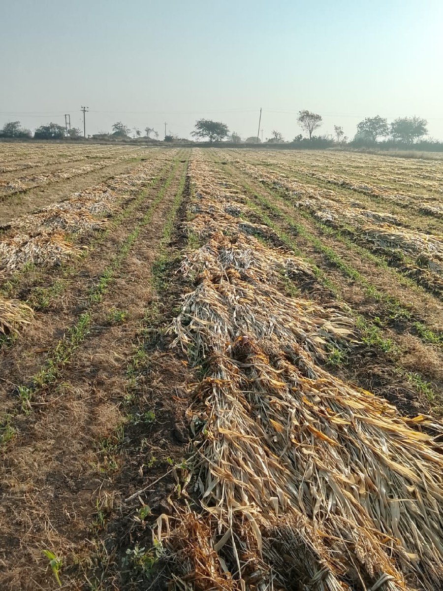 નીણ   વેચવાની છે.