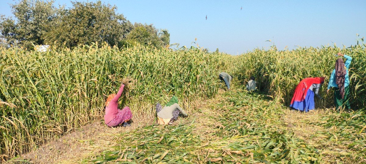 niran vechvani se