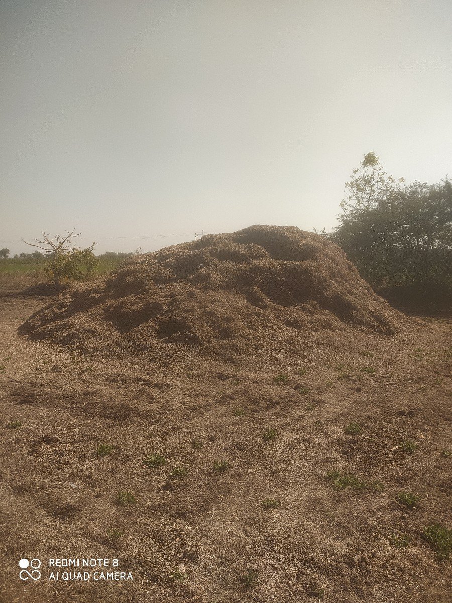 માંડવી નો ભુક્કો વેચવાનો છે